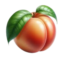 Peach flavor icon